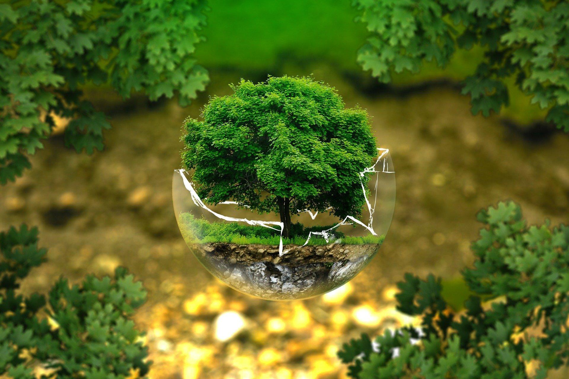 environmental-protection-326923_1920-1